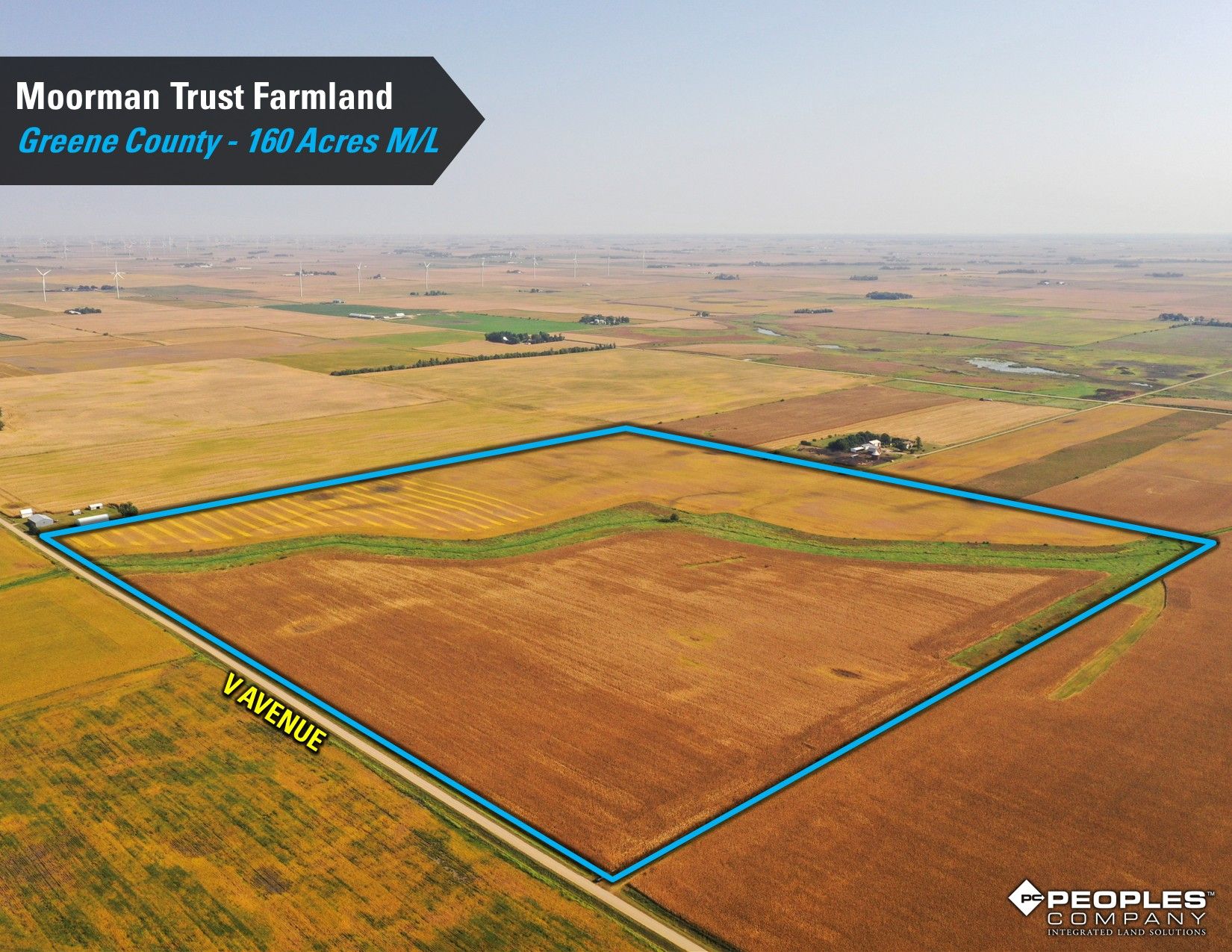 Listing Photo: Greene-County-Iowa-Farmland-Auction-160-Acres-Moorman-Rippey-IA-18618 (7)